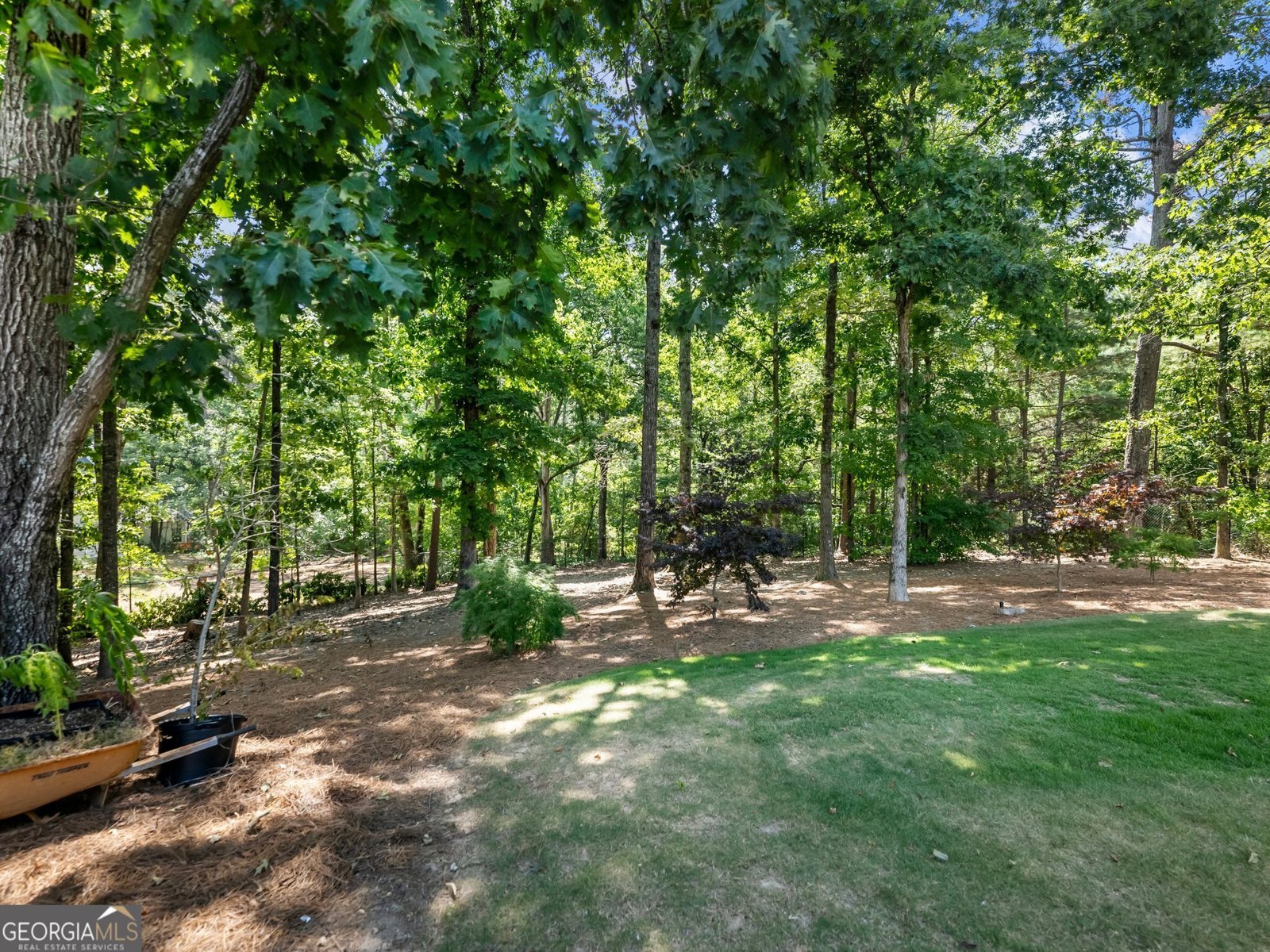 3965 Hamilton View Way Dacula - 72