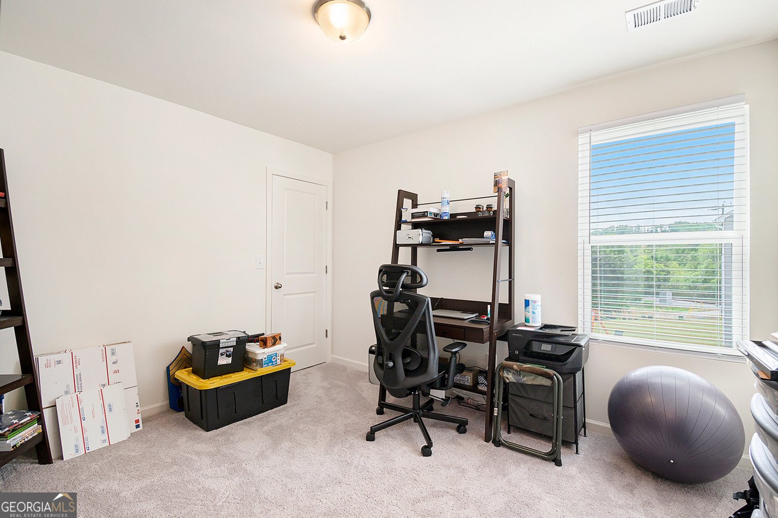 169 Verona Drive Cartersville - 19