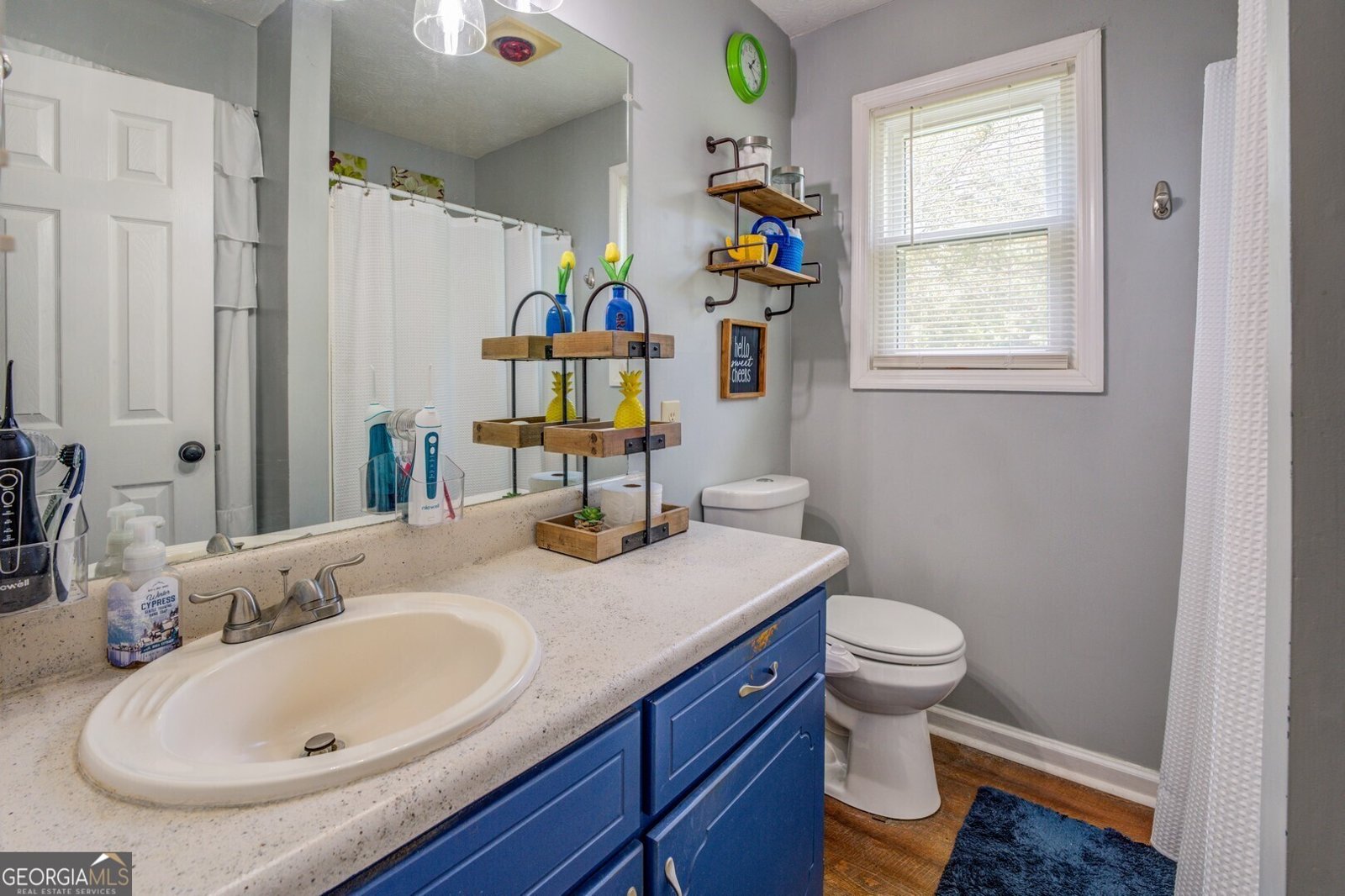 3557 Bill Gardner Parkway Locust Grove - 18