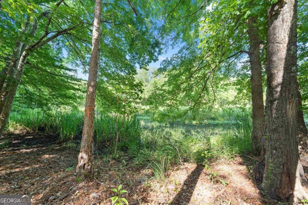 164 Rockville Springs Drive Eatonton - 27