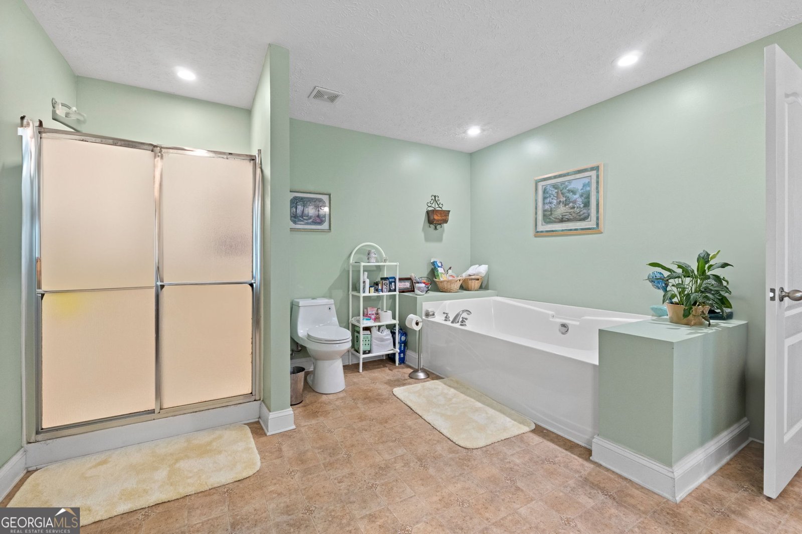 575 Chuli Road Locust Grove - 13