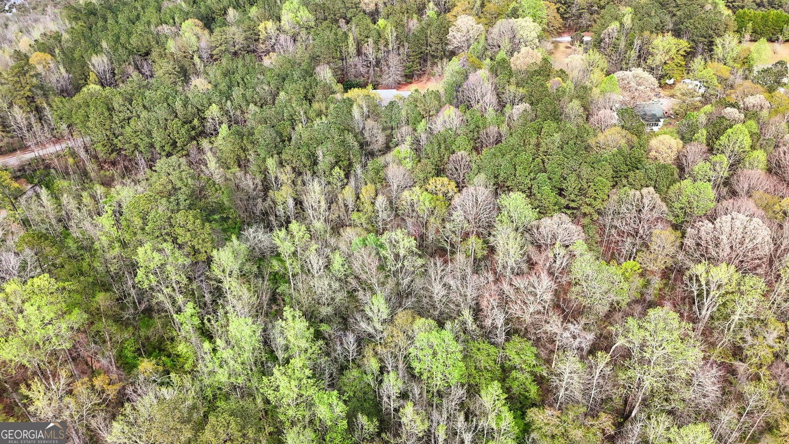 575 Chuli Road Locust Grove - 3