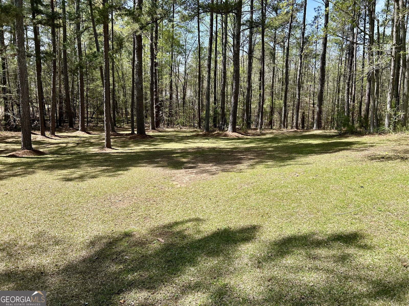 1314 Fairway Drive Elberton - 27