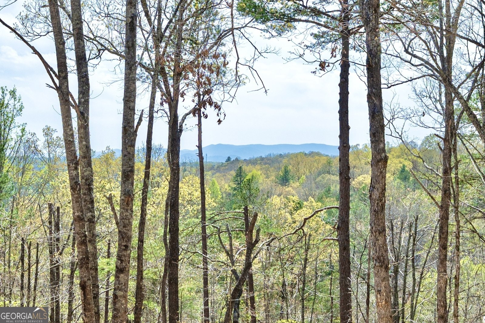 87 Wolf Ceek Drive Mineral Bluff - 40