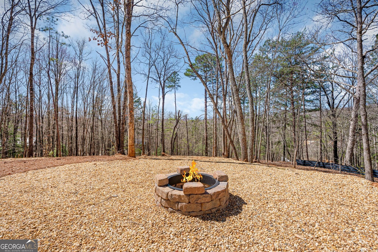 87 Wolf Ceek Drive Mineral Bluff - 62