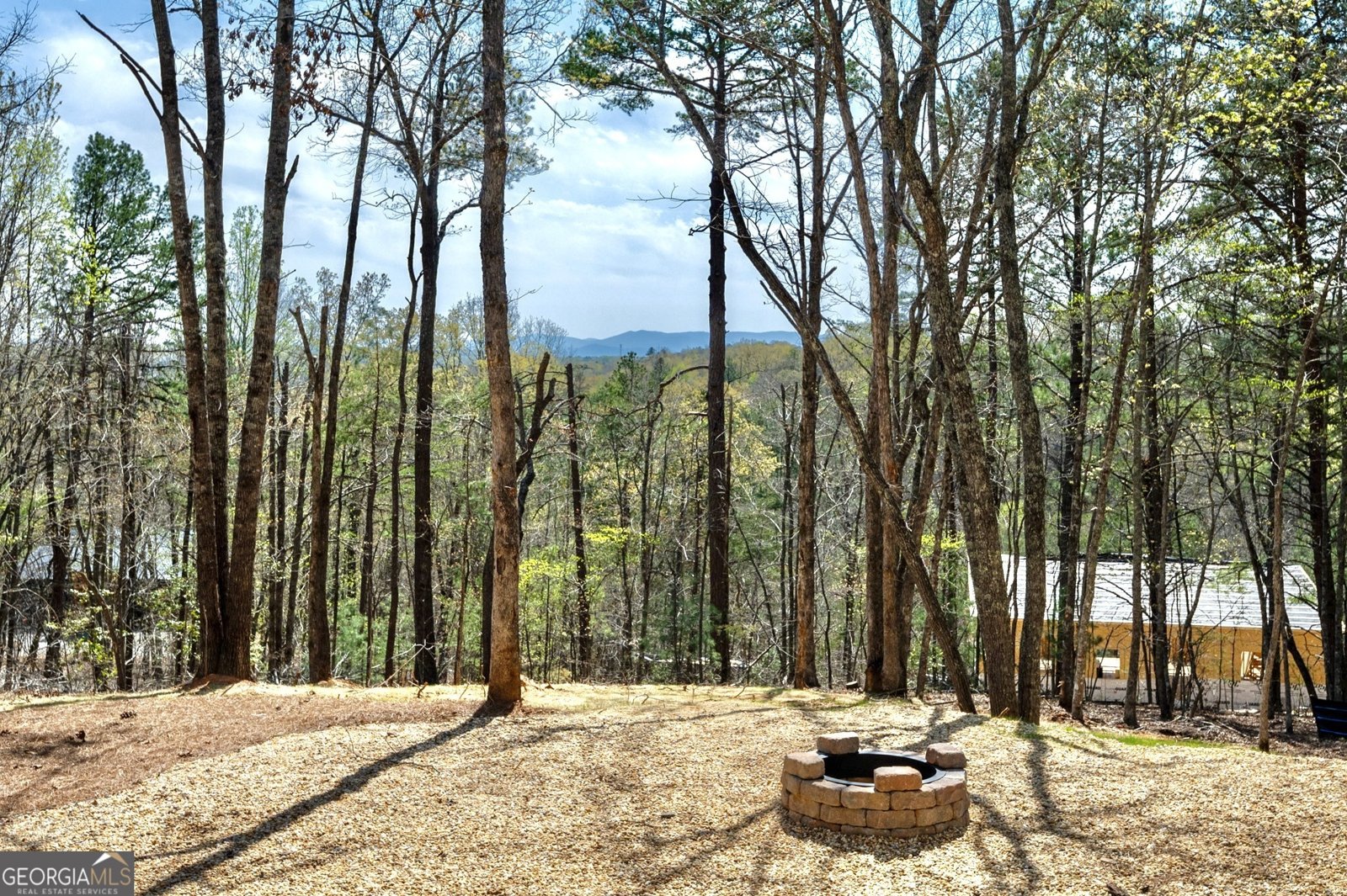 87 Wolf Ceek Drive Mineral Bluff - 63