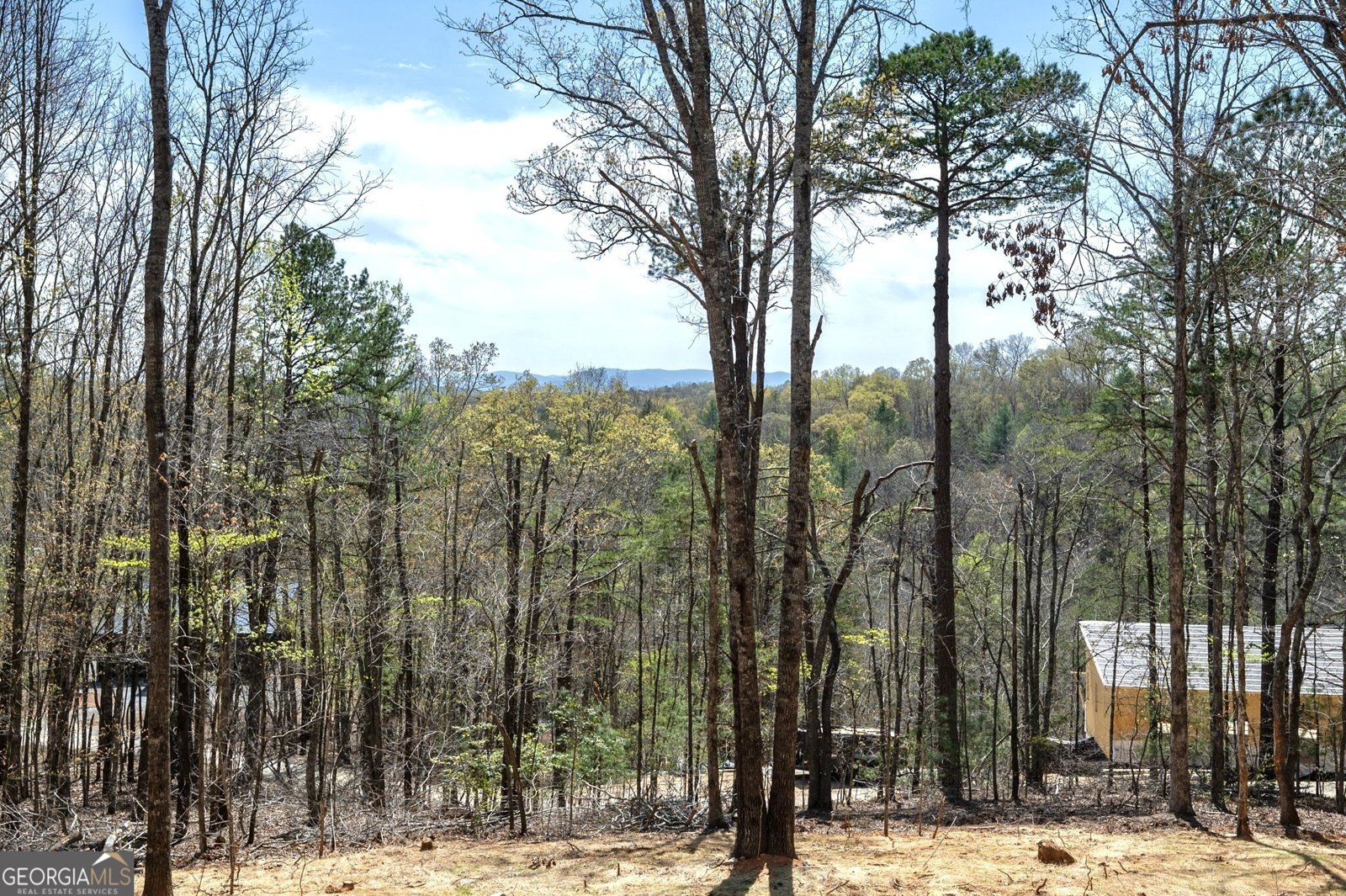87 Wolf Ceek Drive Mineral Bluff - 64