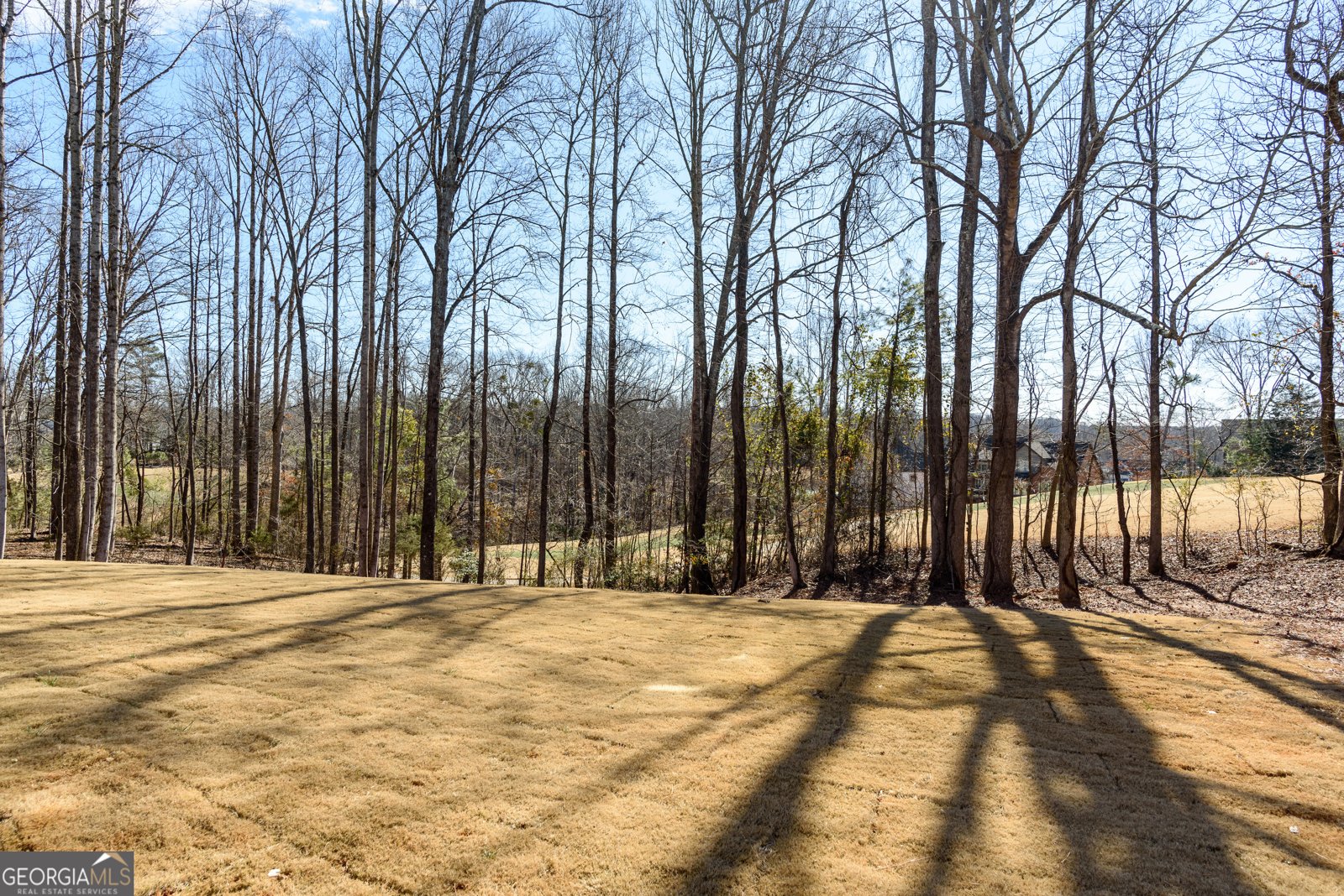 3485 River Birch Loop Jefferson - 55