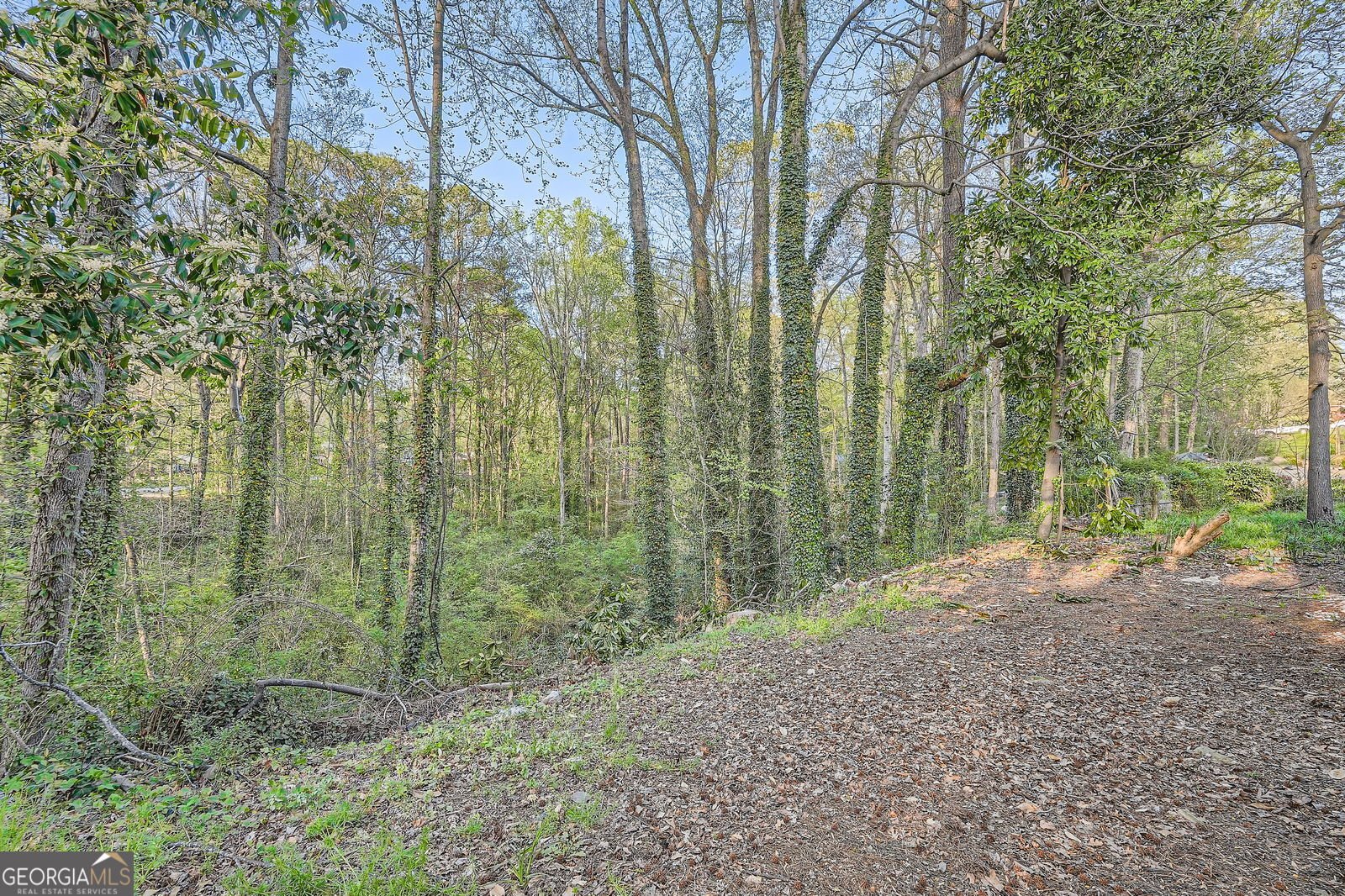 2875 OLDKNOW Drive Atlanta - 26