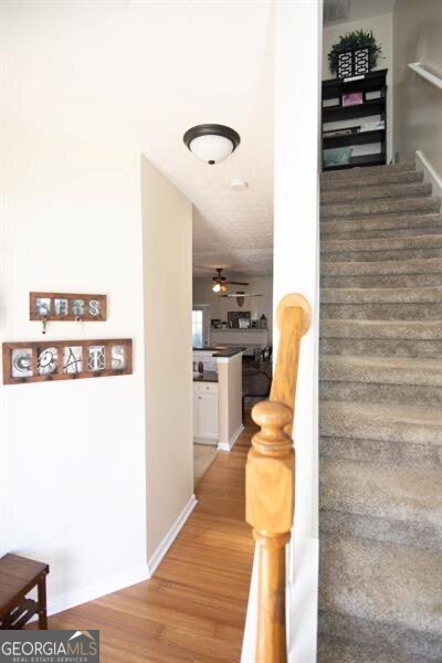 33 Timber Ridge Drive Cartersville - 4