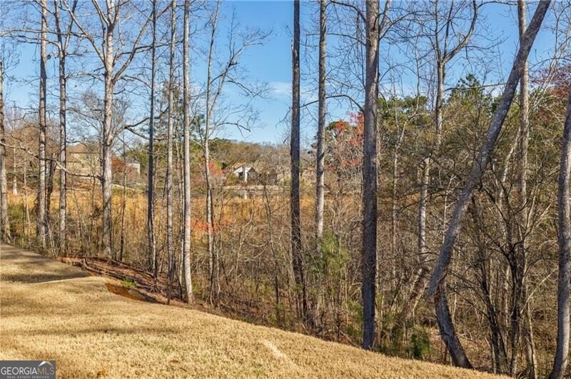 4870 Odum View Lane Cumming - 74