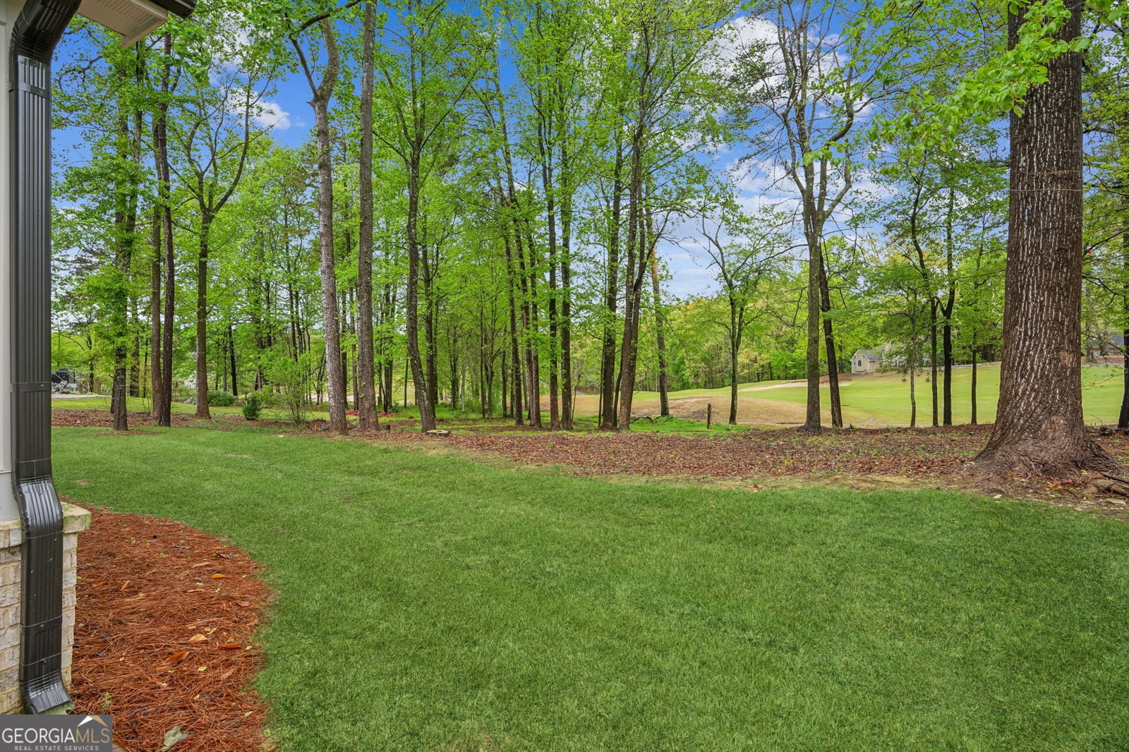 4426 Oxburgh Park Flowery Branch - 45