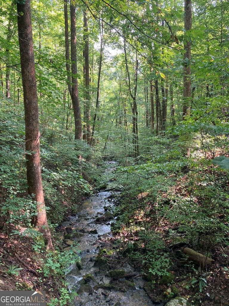 1127 Burch Branch Road Hiawassee - 81