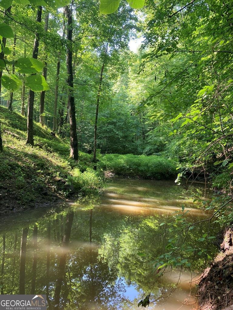 1127 Burch Branch Road Hiawassee - 83