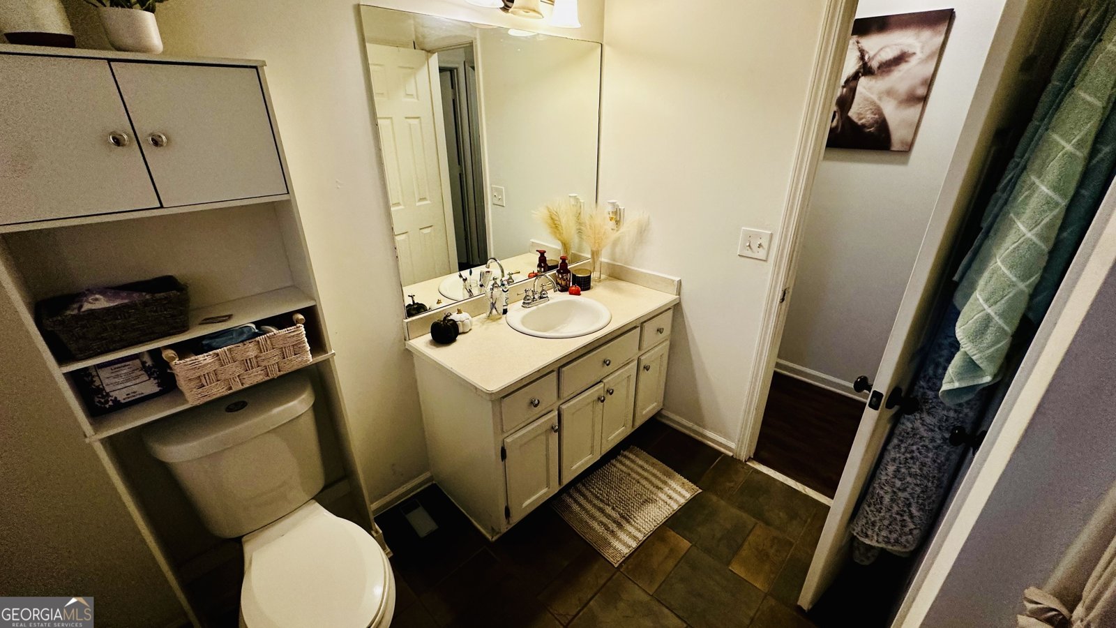6600 Crystal Cove Trail Gainesville - 13