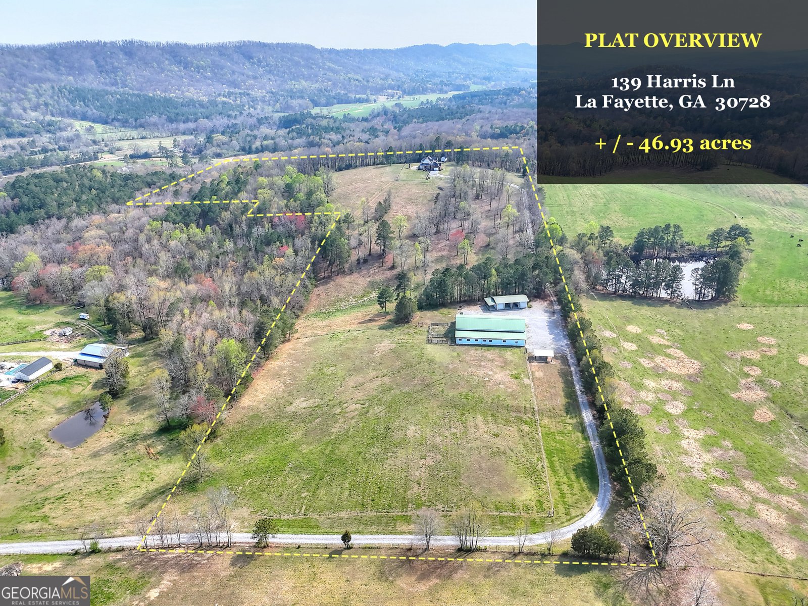 139 Harris Lane LaFayette - 42