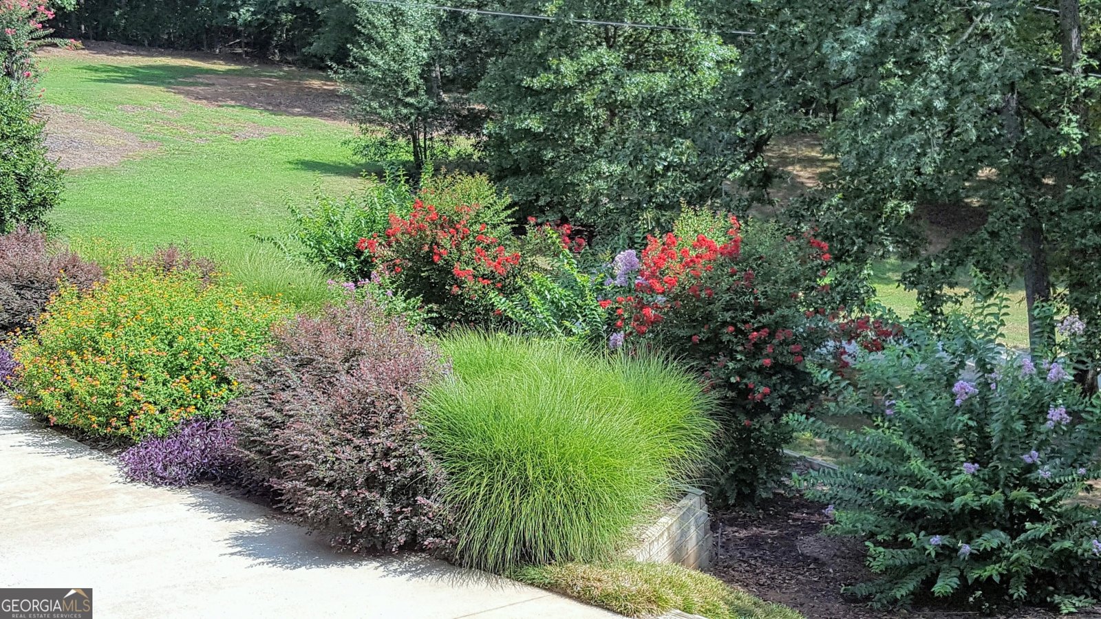 549 Mulberry Road Winder - 8