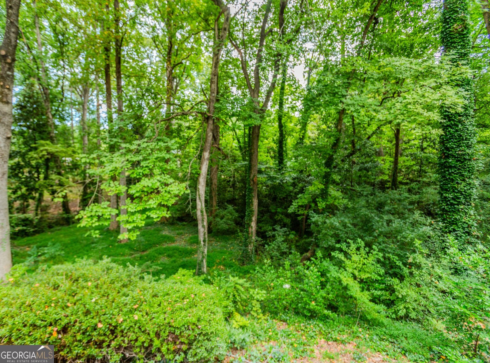 247 Old Timber Road Lawrenceville - 49