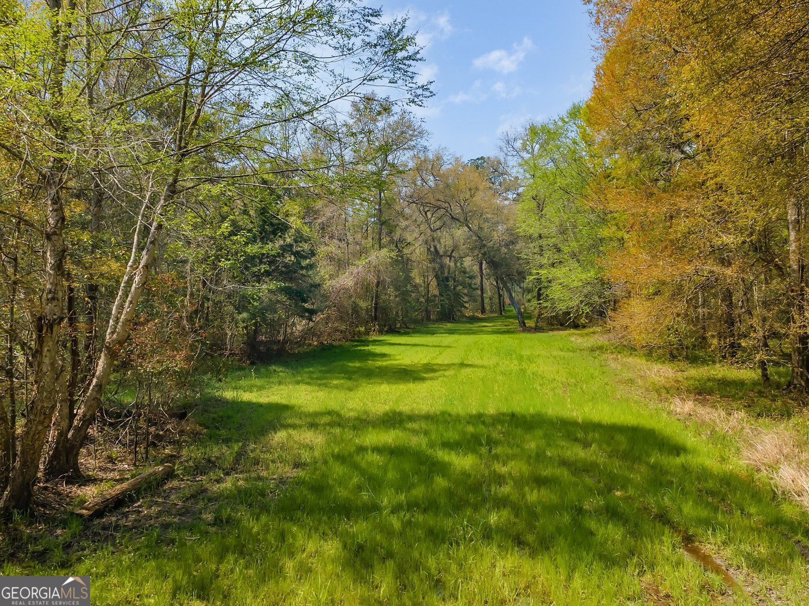 4103 Hadley Ferry Road Cairo - 2