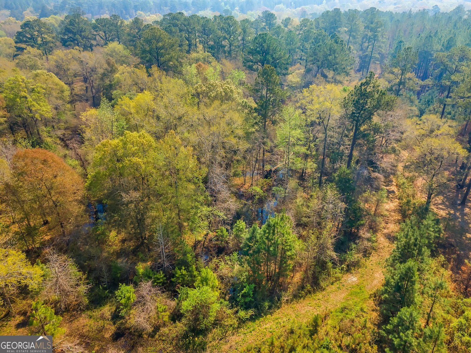 4103 Hadley Ferry Road Cairo - 31