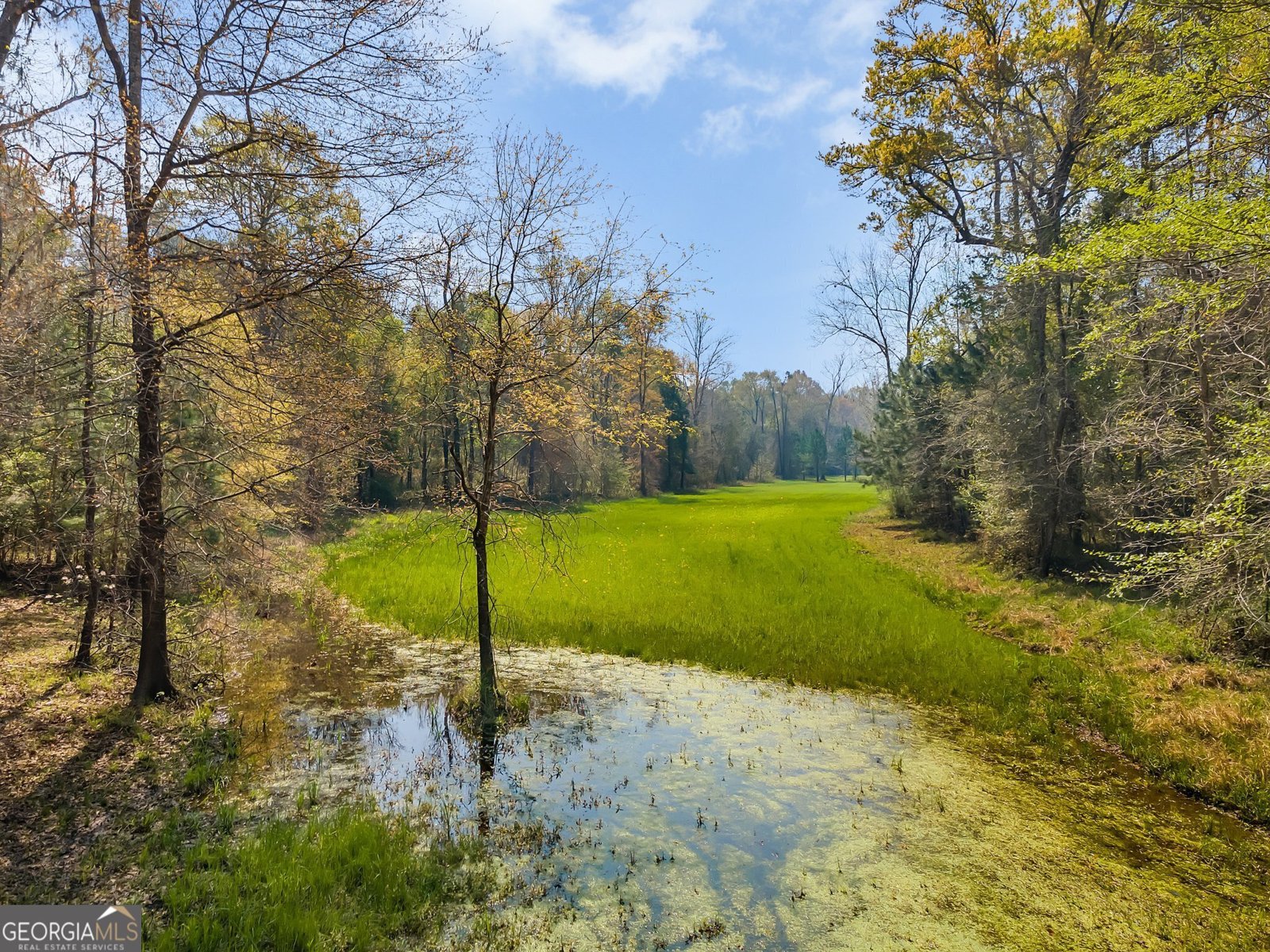 4103 Hadley Ferry Road Cairo - 34