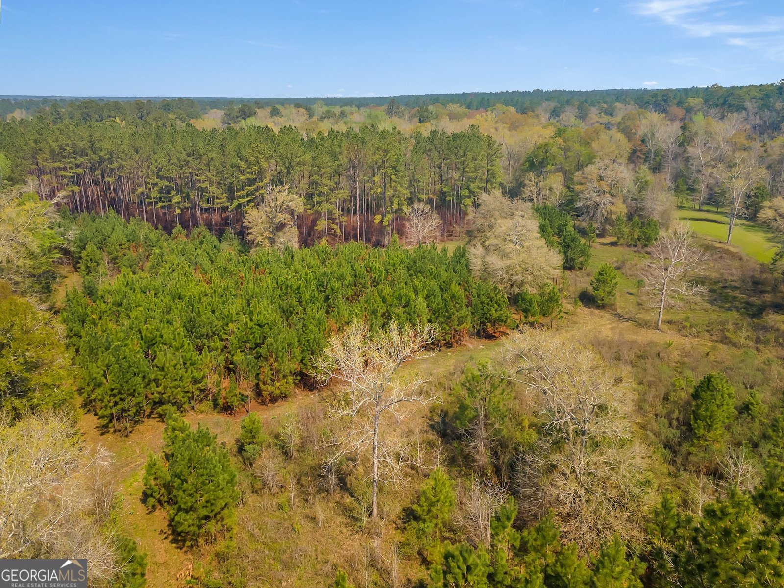 4103 Hadley Ferry Road Cairo - 49