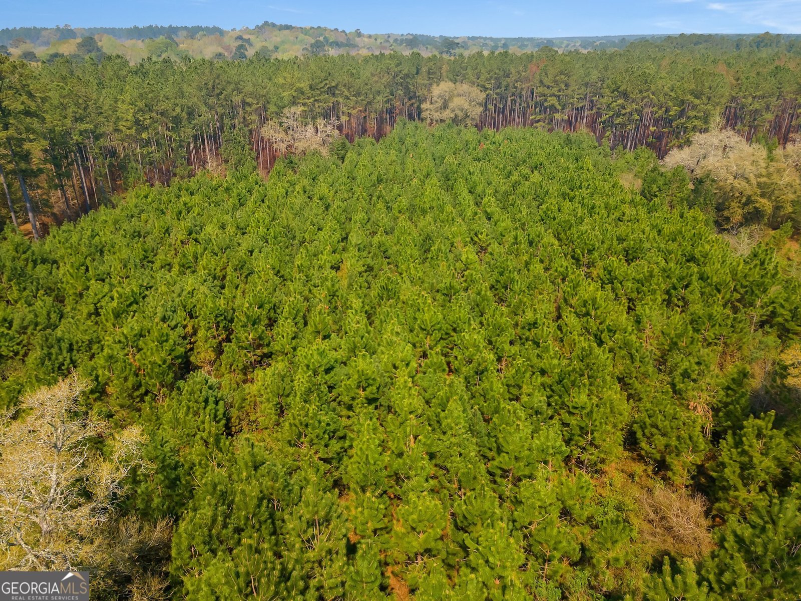 4103 Hadley Ferry Road Cairo - 52