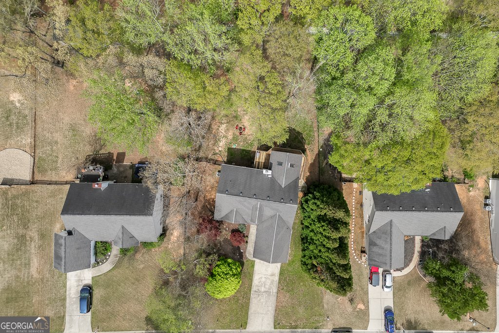 1545 Smoke Hill Drive Hoschton - 49