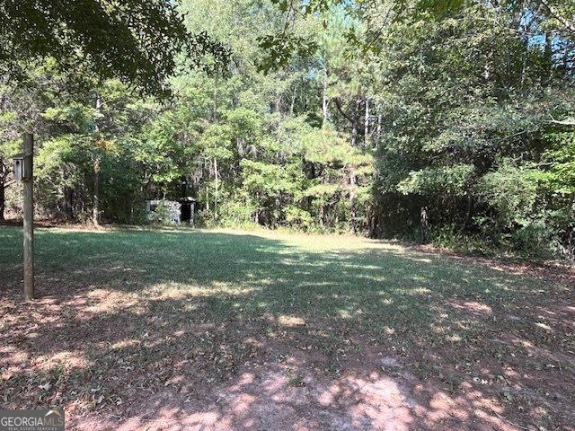 2273 Teamon Road Griffin - 57