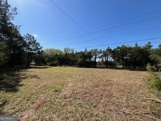 2273 Teamon Road Griffin - 61