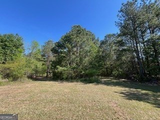 2273 Teamon Road Griffin - 63
