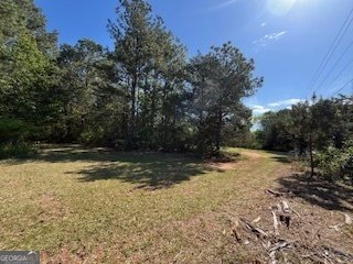 2273 Teamon Road Griffin - 64