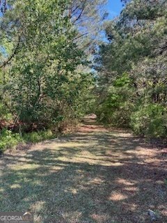 2273 Teamon Road Griffin - 65