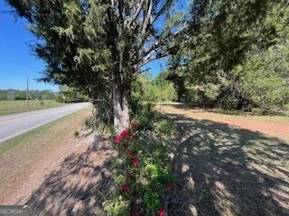 2273 Teamon Road Griffin - 69