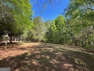 2273 Teamon Road Griffin - 77