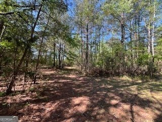2273 Teamon Road Griffin - 85