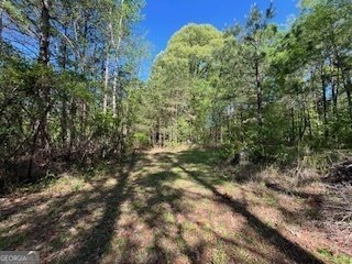 2273 Teamon Road Griffin - 86