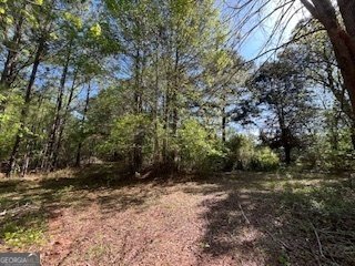 2273 Teamon Road Griffin - 91