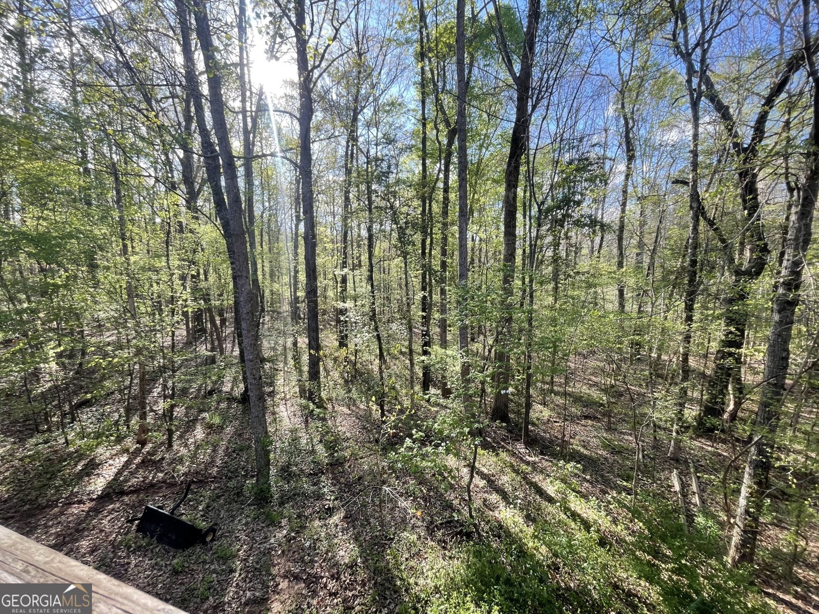 718 Fincher Road Covington - 35