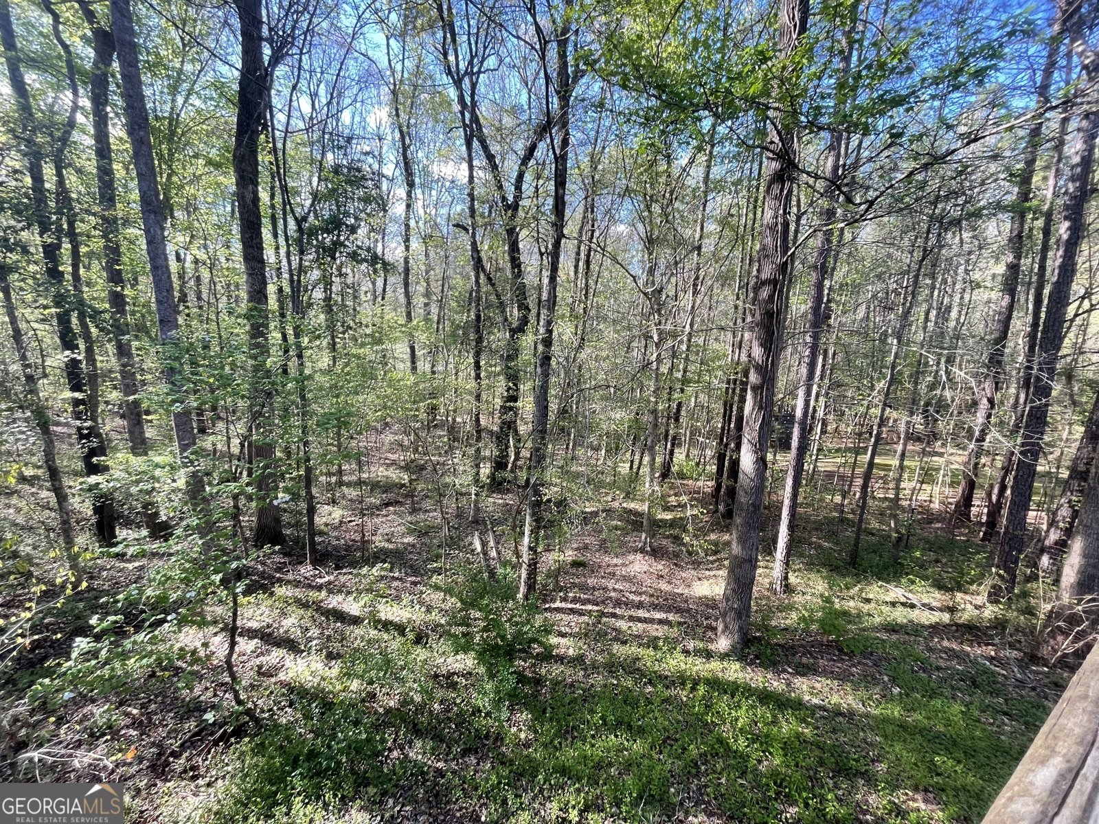 718 Fincher Road Covington - 36