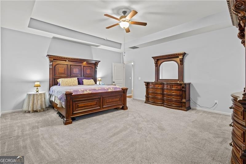 173 Rock House Estates Drive Senoia - 13