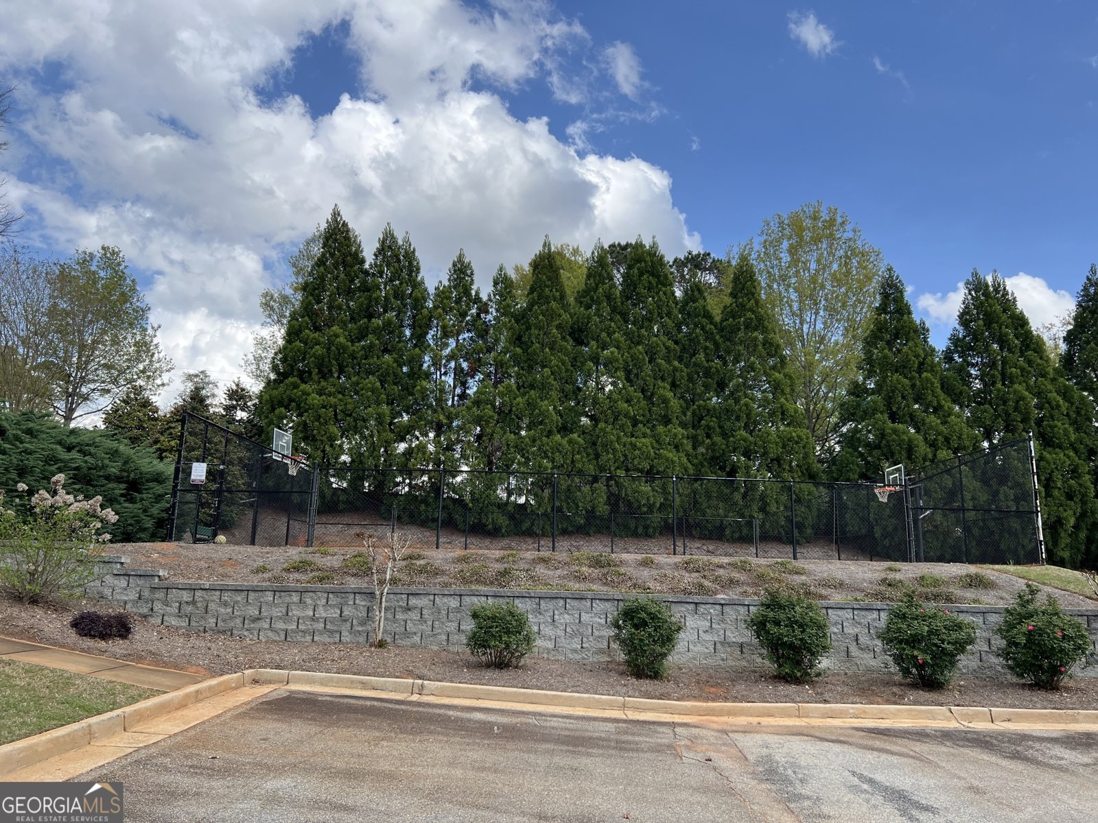 88 Adam Drive Forsyth - 30