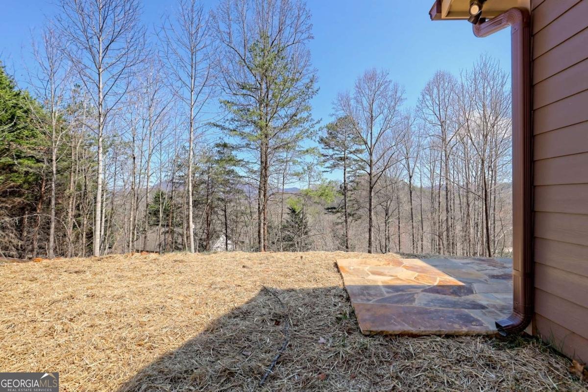 1378 Summit Trail Hiawassee - 67