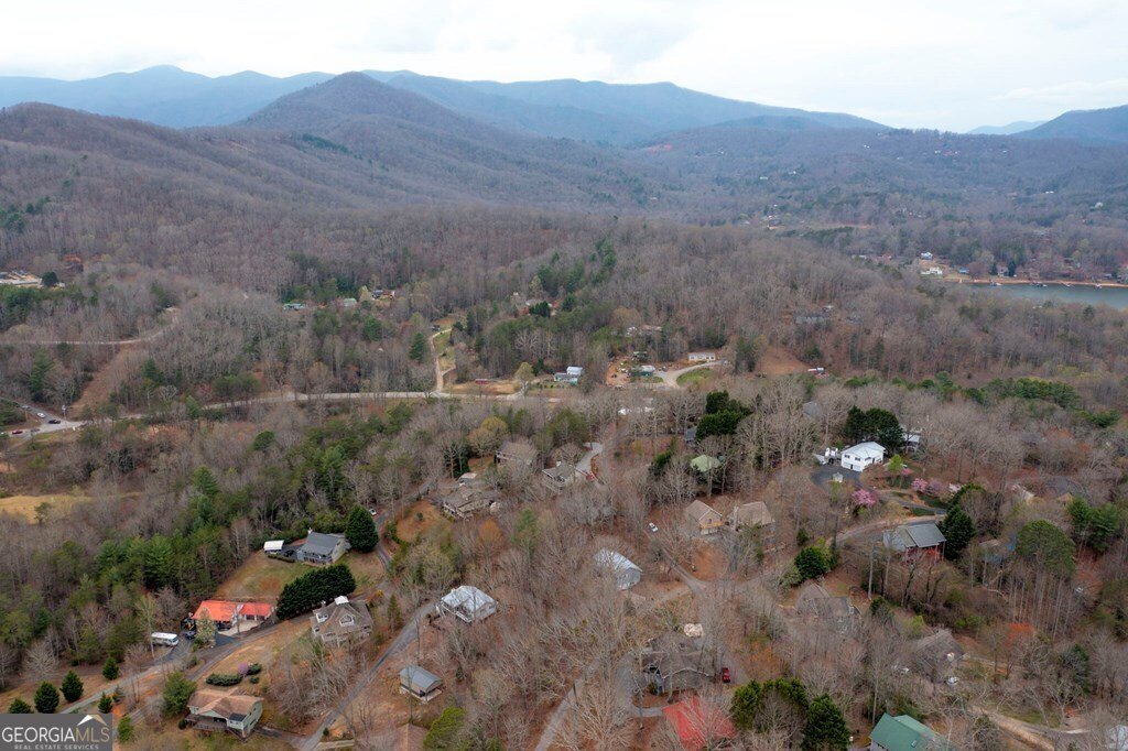 536 Hillside Drive Hiawassee - 38