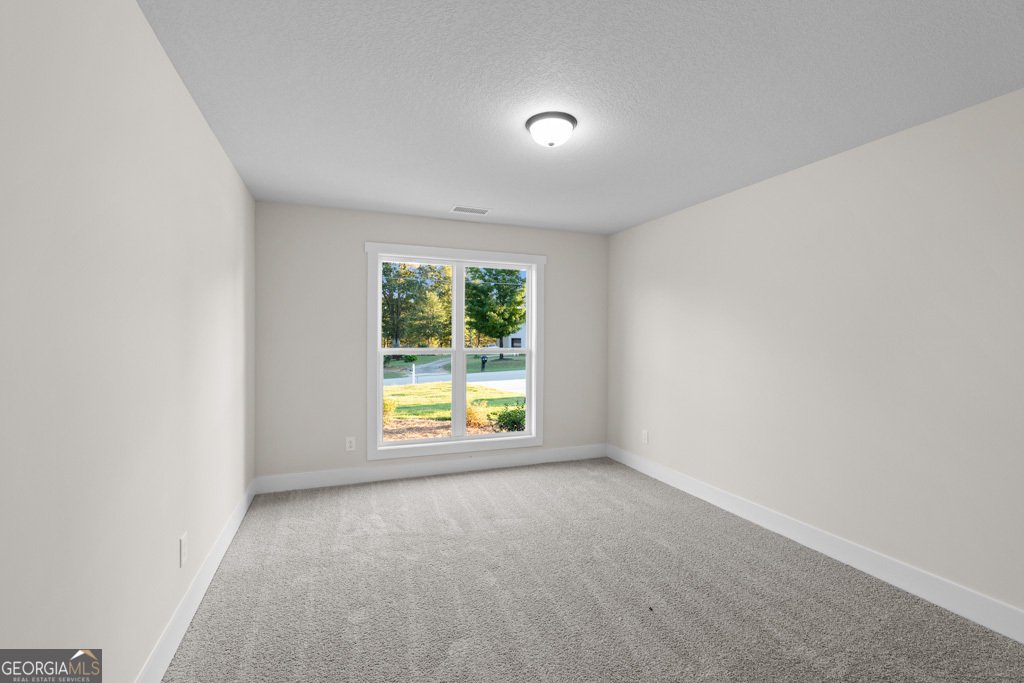 323 Liberty Hill Road Hartwell - 17