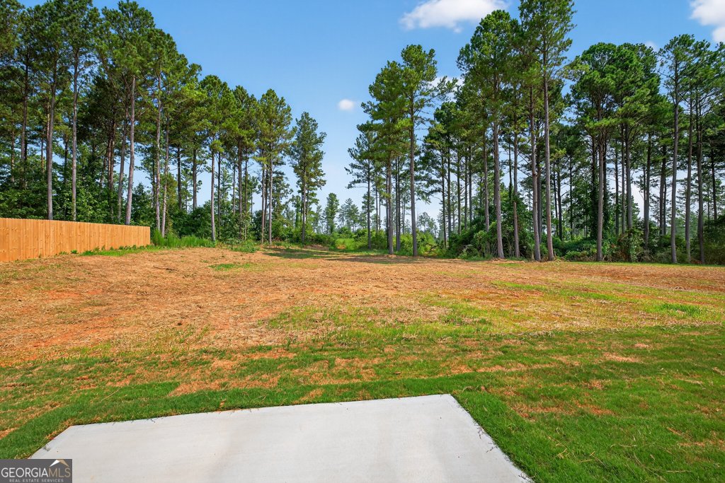 323 Liberty Hill Road Hartwell - 35