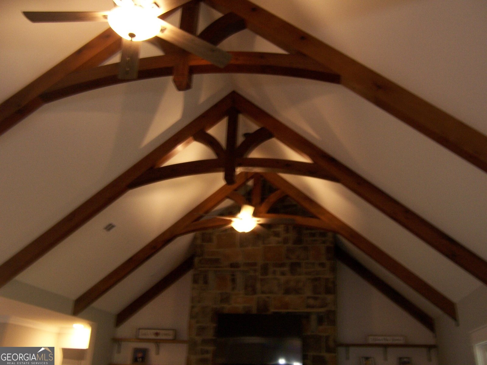 3154 HWY 341 Hawkinsville - 25