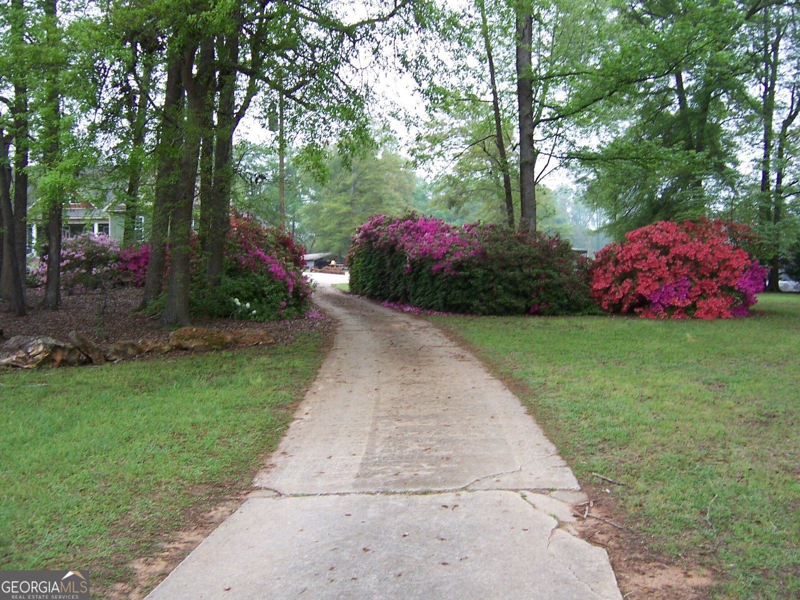 3154 HWY 341 Hawkinsville - 5