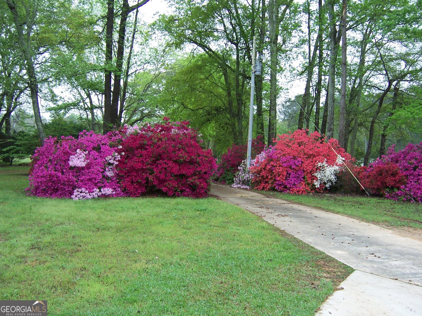 3154 HWY 341 Hawkinsville - 6