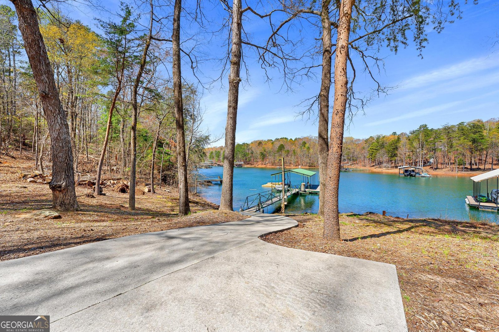 1047 Tranquility Lane Hartwell - 3